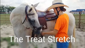 The Treat Stretch - Groundwork for connection and flexibility