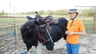 The Treat Stretch - Groundwork for connection and flexibility