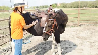 The Treat Stretch - Groundwork for connection and flexibility