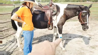 The Treat Stretch - Groundwork for connection and flexibility