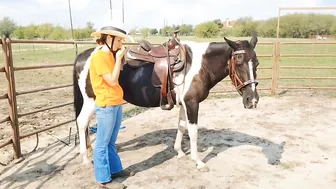 The Treat Stretch - Groundwork for connection and flexibility