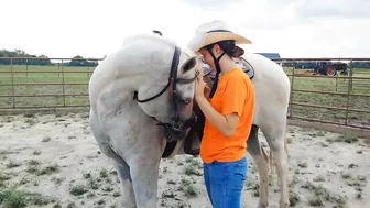 The Treat Stretch - Groundwork for connection and flexibility