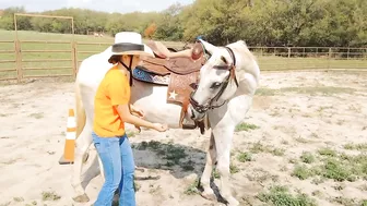 The Treat Stretch - Groundwork for connection and flexibility