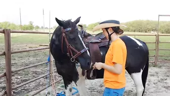 The Treat Stretch - Groundwork for connection and flexibility