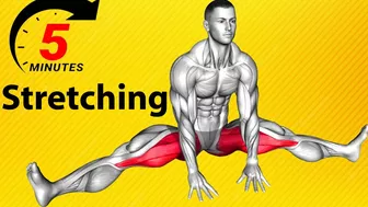 Do This Morning Stretches Exercises Every Day I Stretching Exercises 10 Minutes