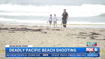 Woman Found Fatally Shot On Beach