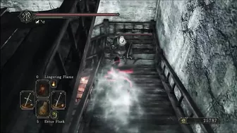 Thank you Dark Souls compilation 223