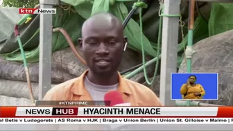 Hyacinth Menace: Fishermen at Dunga beach, Kisumu reaping big since the disappearance of hyacinth