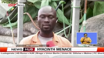 Hyacinth Menace: Fishermen at Dunga beach, Kisumu reaping big since the disappearance of hyacinth