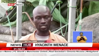 Hyacinth Menace: Fishermen at Dunga beach, Kisumu reaping big since the disappearance of hyacinth