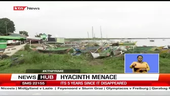 Hyacinth Menace: Fishermen at Dunga beach, Kisumu reaping big since the disappearance of hyacinth