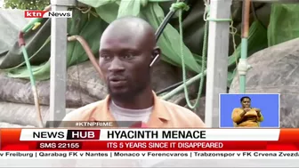 Hyacinth Menace: Fishermen at Dunga beach, Kisumu reaping big since the disappearance of hyacinth