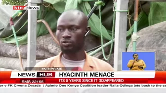 Hyacinth Menace: Fishermen at Dunga beach, Kisumu reaping big since the disappearance of hyacinth