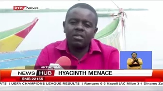 Hyacinth Menace: Fishermen at Dunga beach, Kisumu reaping big since the disappearance of hyacinth