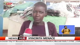 Hyacinth Menace: Fishermen at Dunga beach, Kisumu reaping big since the disappearance of hyacinth