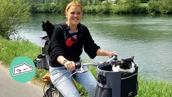 Family Bikes and HIkes With Cats in Backpacks Across Europe | Travel Cats