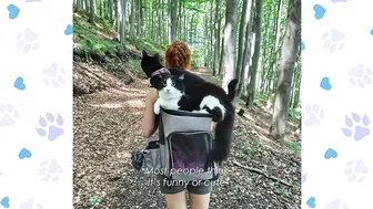 Family Bikes and HIkes With Cats in Backpacks Across Europe | Travel Cats