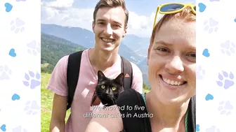 Family Bikes and HIkes With Cats in Backpacks Across Europe | Travel Cats