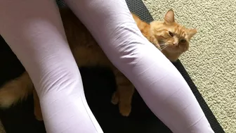 Yoga Mat Cat