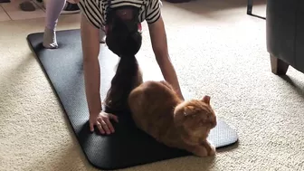 Yoga Mat Cat