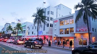 Miami Beach - The Colony Hotel