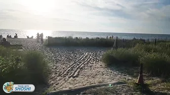 Best beach in New Jersey - Cape May