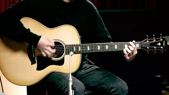 Taylor Guitars Showdown: 800 series (All Steel-string Models) | Playthrough Demo