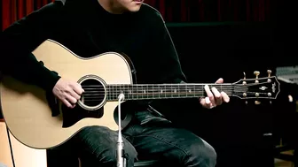 Taylor Guitars Showdown: 800 series (All Steel-string Models) | Playthrough Demo