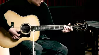 Taylor Guitars Showdown: 800 series (All Steel-string Models) | Playthrough Demo