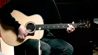 Taylor Guitars Showdown: 800 series (All Steel-string Models) | Playthrough Demo