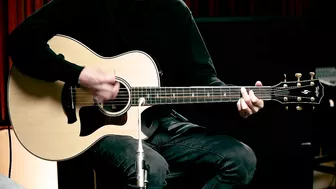 Taylor Guitars Showdown: 800 series (All Steel-string Models) | Playthrough Demo