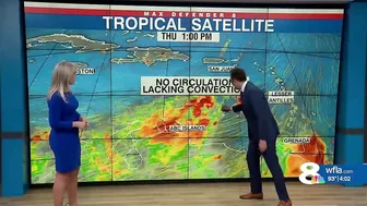 Invest 98L: Comparing forecast models