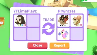 OMG! Did They Overpay For Their Dream Pet In Adopt Me (Roblox)