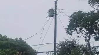 Live power lines in West Palm Beach