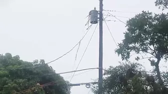 Live power lines in West Palm Beach