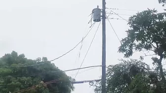 Live power lines in West Palm Beach