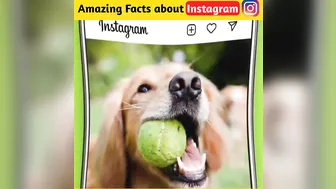 top 5 Instagram facts | amazing facts about instagram in hindi | #shorts