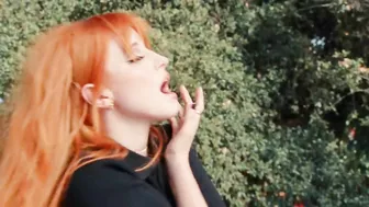 Paramore: This Is Why [OFFICIAL VIDEO]