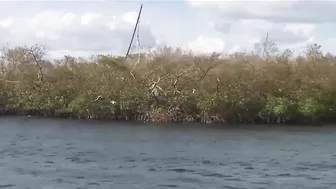 Boat tour of damage on Fort Myers Beach