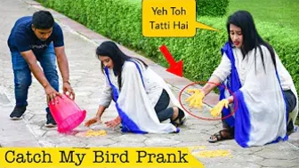 Grab My Pigeon Prank | Funny Prank Videos | 4-Minute Fun