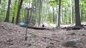 DISC GOLF AIR BOUNCE COMPILATION