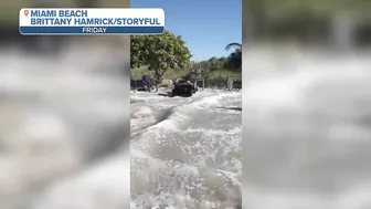 Giant Wave Injures Several in Miami Beach