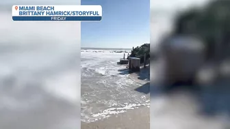 Giant Wave Injures Several in Miami Beach