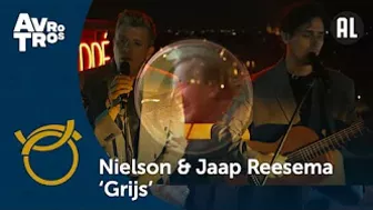 Nielson & Jaap Reesema | ‘Grijs’ | Gouden Televizier-Ring Gala 2022