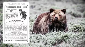 Vintage Travel To Yellowstone National Park