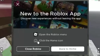 roblox FINALLY removed this...