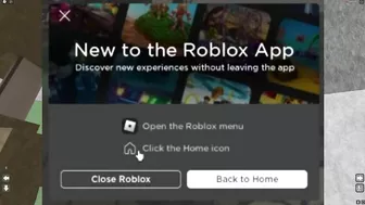 roblox FINALLY removed this...