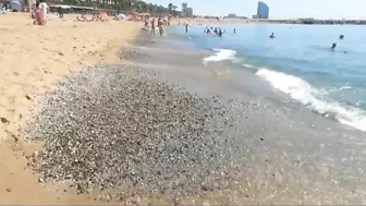 Stroll Along Barcelona Beach Spain - Walking Best Beaches