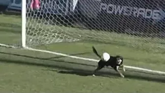 Dog makes incredible goalline save