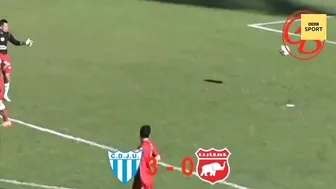 Dog makes incredible goalline save